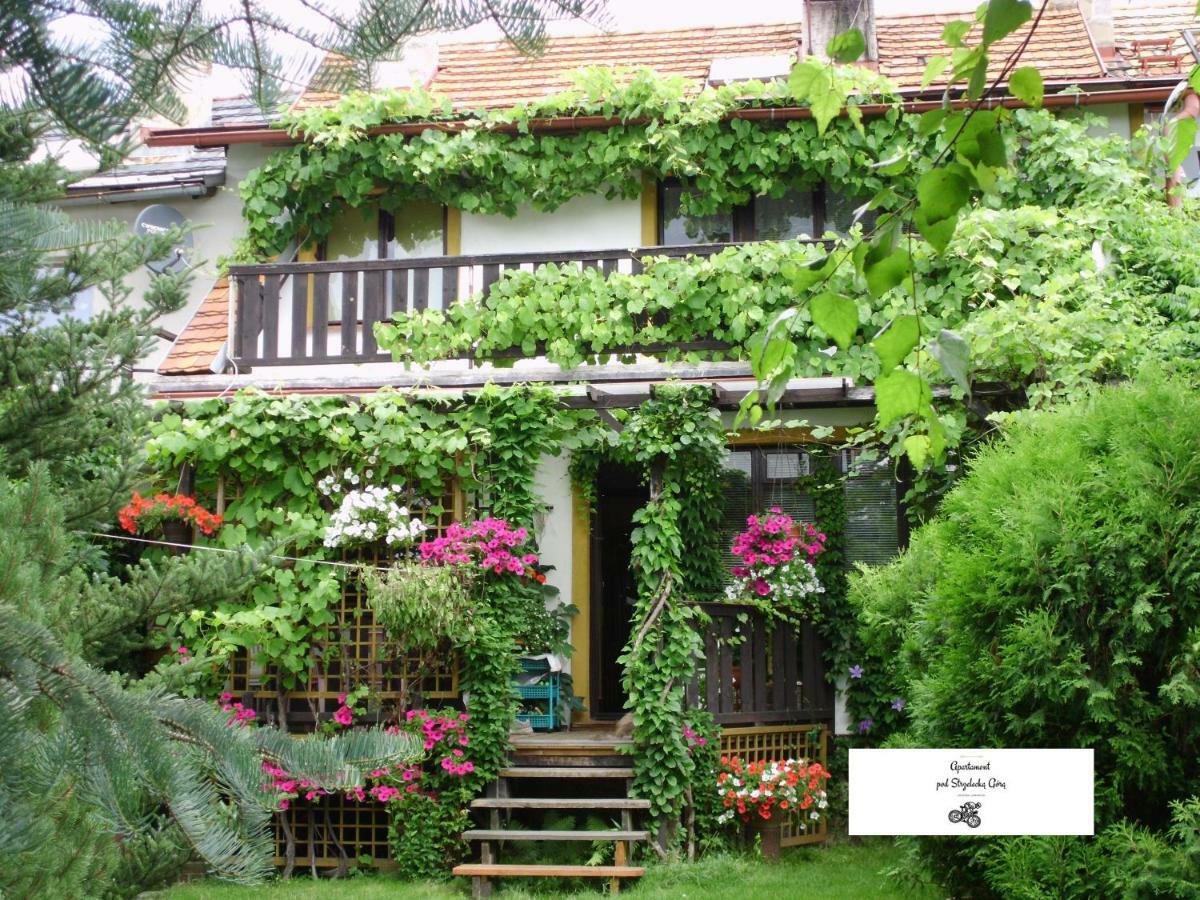 Apartament Pod Strzelecka Gora Jelenia Gora Exterior photo